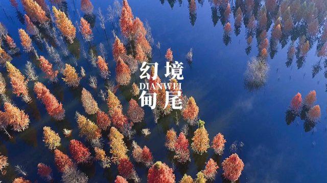 全都是凶手